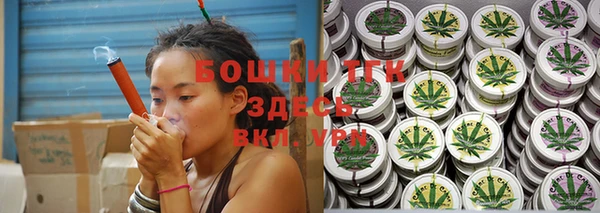 трава Карпинск