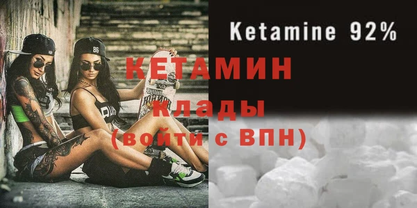 трава Карпинск