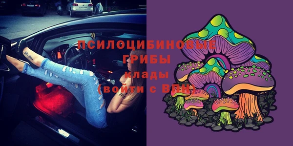 бошки Карталы
