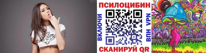 Купить где  Гаврилов-Ям  Псилоцибиновые грибы Psilocybe 