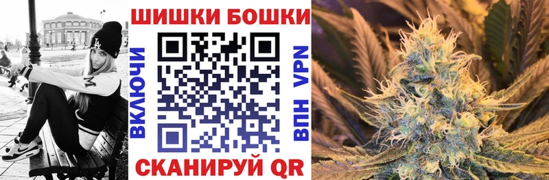 Купить закладки  Гаврилов-Ям  МАРИХУАНА сатива 